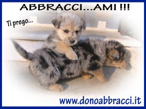 abbracciami