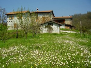 casa della casa che ci ospita in Toscana